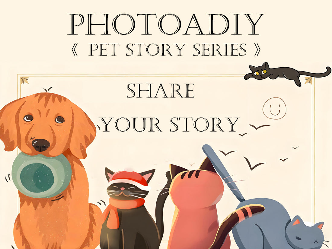 Make Your Pet the Star of Our Next Paw-tale!